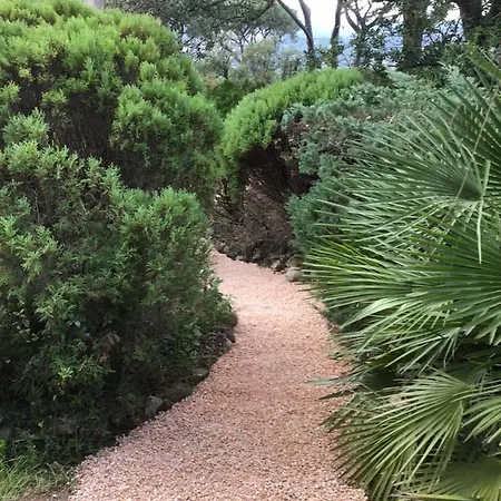 Riviera * サント・マキシム